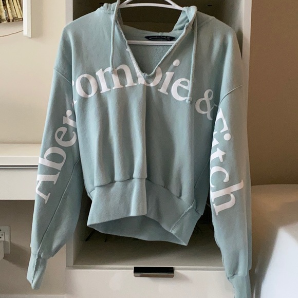 Abercrombie & Fitch Sweaters - Abercrombie & Fitch crop sweater